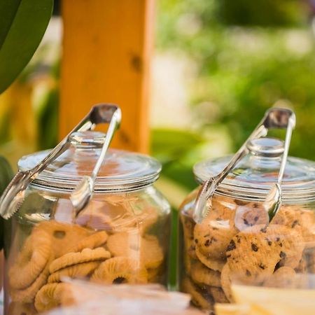 Casa Violetta Bed & Breakfast 마리나디마사 외부 사진