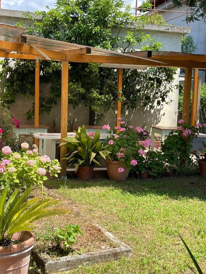 Casa Violetta Bed & Breakfast 마리나디마사 외부 사진