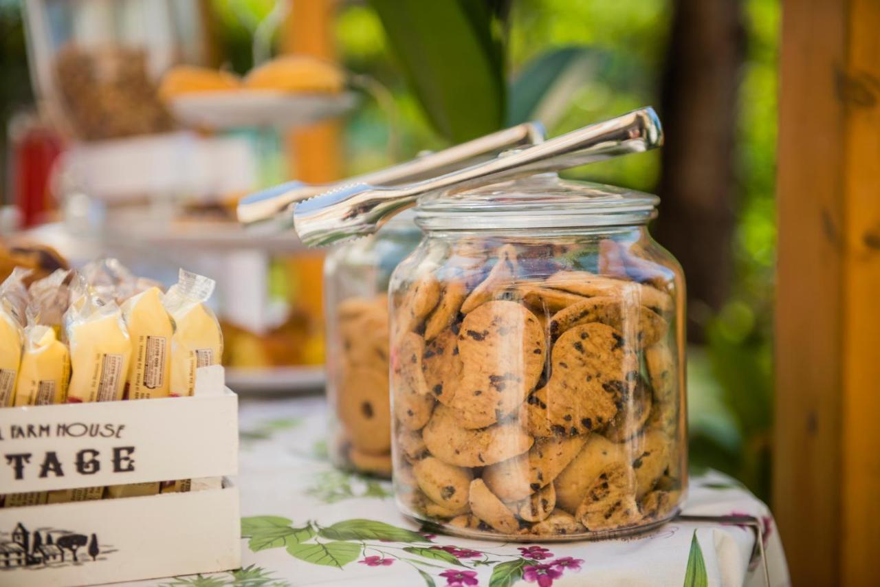 Casa Violetta Bed & Breakfast 마리나디마사 외부 사진